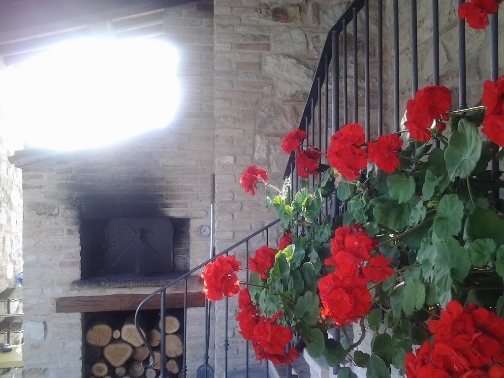 Agriturismo Ca'Verdeselle Fermignano Esterno foto