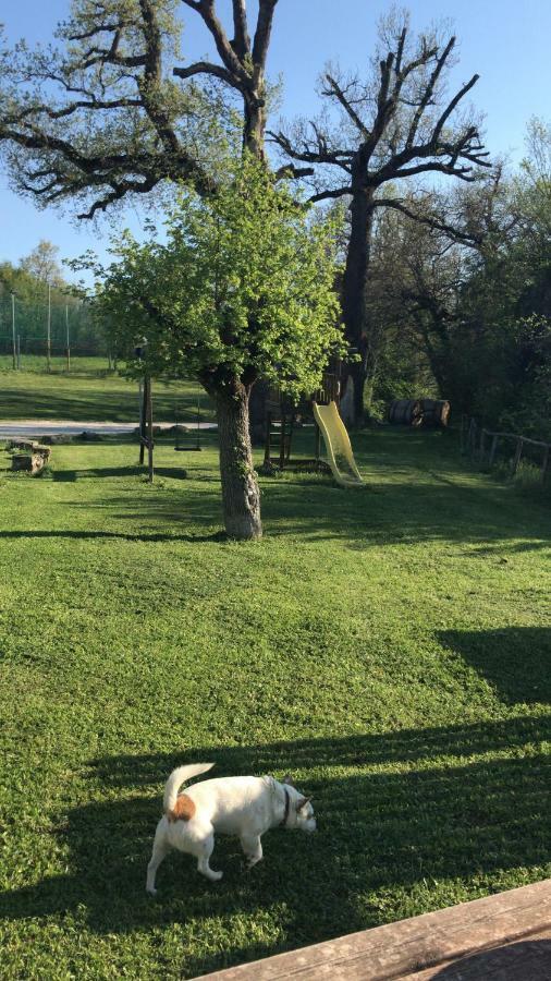 Agriturismo Ca'Verdeselle Fermignano Esterno foto